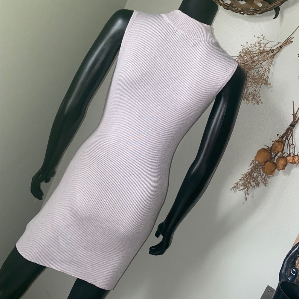 Forever 21 Sleeveless Knit Ribbed Mini Dress - Light Gray NWoTs - Picture 7 of 10